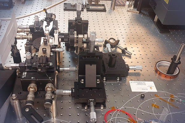Femtosecond Inscription of Fiber Bragg Gratings