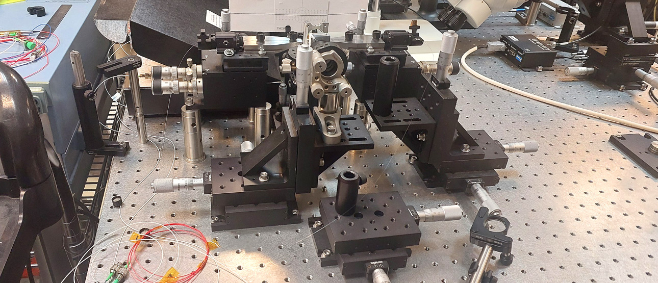 Femtosecond Inscription of Fiber Bragg Gratings